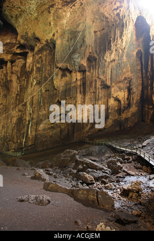 Gomantong cave sabah hi res stock photography and images Alamy