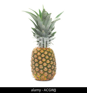 a fresh ripe pineapple on a white background Stock Photo