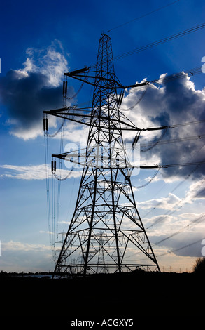 National Grid Electricity Pylons carrying power from Sizewell A and B nuclear power stations off the Suffolk coast, Suffolk, UK Stock Photo