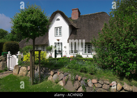 Typical thatched roofed house in Keitum, Sylt, Schleswig Holstein, Germany Stock Photo