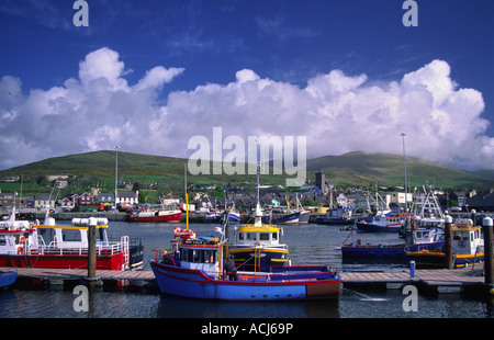 Fishing boats and trawlers moored in in Dingle Harbour. County Kerry, Ireland. Stock Photo