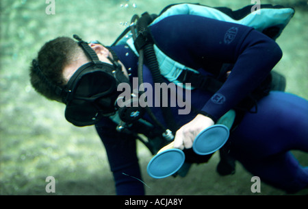 Divers Cleaning Aquarium Tank Photograph by Jim West - Pixels