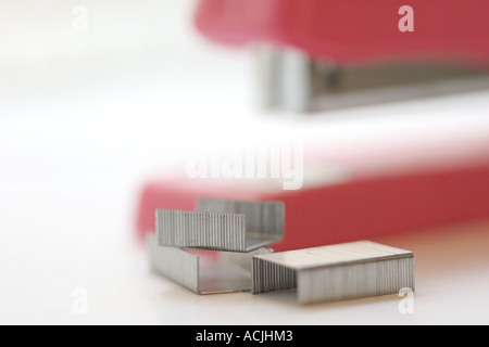 stapler and staples Stock Photo