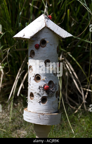Ladybird shelter in garden Stock Photo