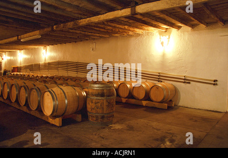 The barrel aging cellar at Chateau Caillou in Sauternes with tubes used for pumping wine suspended on the wall. Château Caillou, Barsac, Gironde, France, Sauternes, Bordeaux Gironde Aquitaine France Europe  Chateau Caillou, Grand Cru Classe, Barsac, Sauternes, Bordeaux, Aquitaine, Gironde, France, Europe Stock Photo