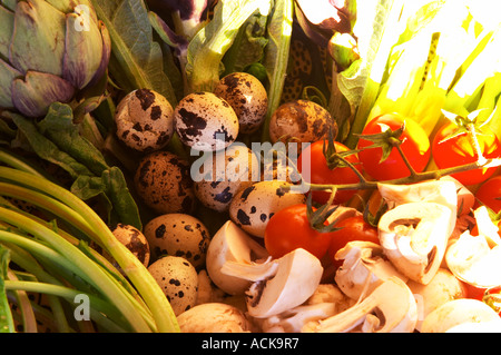 A bowl of vegetables with mushrooms tomato, celery, quail eggs Clos des Iles Le Brusc Six Fours Cote d’Azur Var France Stock Photo