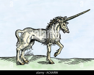 Unicorn as depicted in Historiae Animalium by Gesner published in Zurich 1551. Hand-colored woodcut Stock Photo