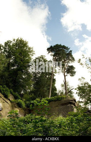 High Rocks England The High Rocks, Tunbridge Wells, England Stock Photo - Alamy