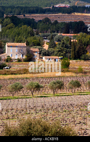 view over the vineyard, small Provencal village in the background Chateau Vannieres (Vannières) La Cadiere (Cadière) d’Azur Bandol Var Cote d’Azur France Stock Photo