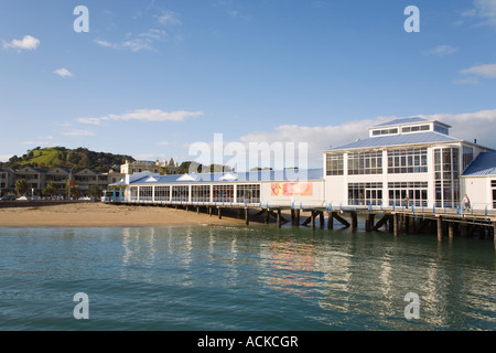 Beach Pier and Ferry Terminal in Devonport suburb from water Mount Victoria extinct volcano on hill North Shore Auckland Stock Photo