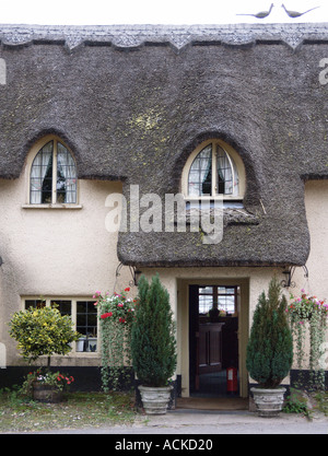 thatched roof of village pub in Winsford village Exmoor - the Royal Oak Inn Stock Photo