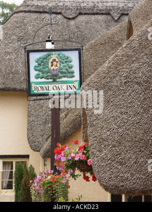 thatched roofs and pub sign in Winsford village Exmoor Stock Photo