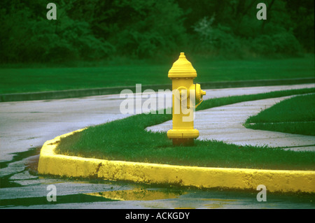 Yellow Fire Hydrant Plug With Yellow Curb And Sidewalk, Philadelphia PA USA Stock Photo