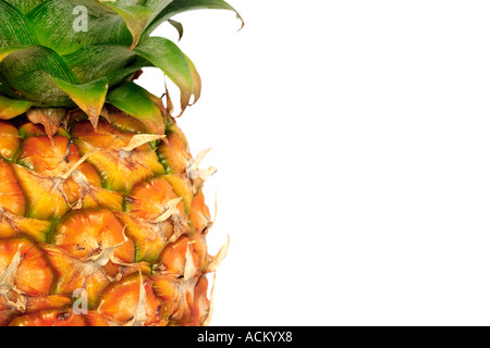 Detail of a pineapple against a white background with copy space Stock Photo