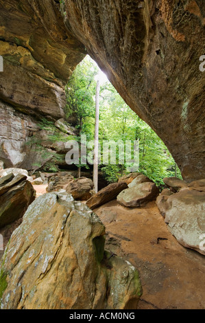 Gray s Arch Red River Gorge Geological Area Kentucky Stock Photo