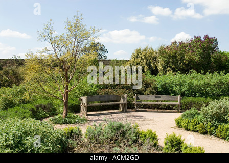 Benches in the enclosed gardens of Forty Hall in Enfield North London Stock Photo