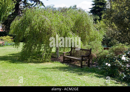 A bench in the enclosed gardens of Forty Hall in Enfield North London Stock Photo