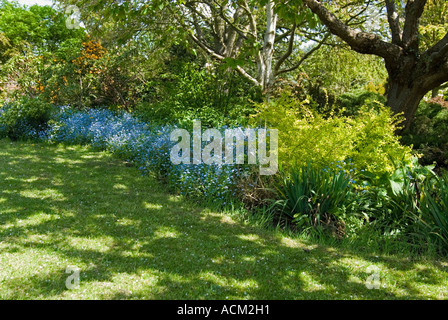 A border in the enclosed gardens of Forty Hall in Enfield North London Stock Photo