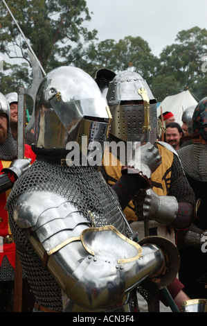 Knight in shining armor ready for battle tournament joust dsc 1368