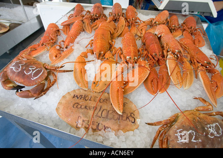 Isle of Wight Ventnor beach Isle of Wight marina Ventnor Haven Fishery Lobsters Stock Photo