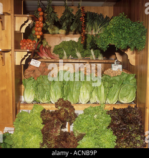 Fresh salad lettuce, potatoes, tomatoes, dried peppers and other vegetables at Mercado Olivar ( the Olivar fresh fruit, vegetabl Stock Photo