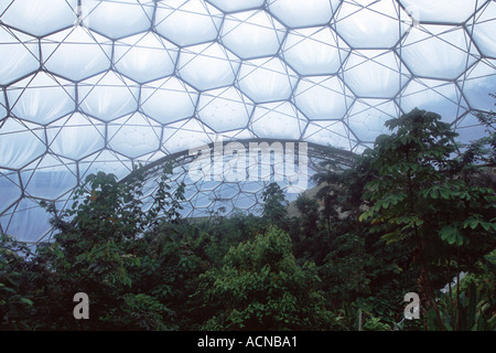 Inside the tropical biodome at the Eden Project Stock Photo