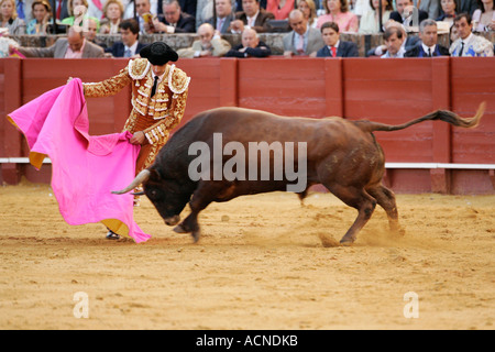 Manuel Jesus El Cid bullfighting with cape at Real Maestranza bullring, Seville, Spain Stock Photo