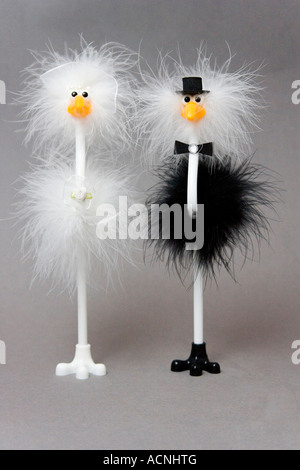 Novelty Bride and Groom Stock Photo
