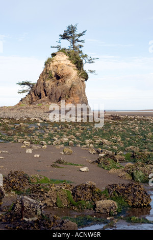 Siletz Bay, Oregon Stock Photo