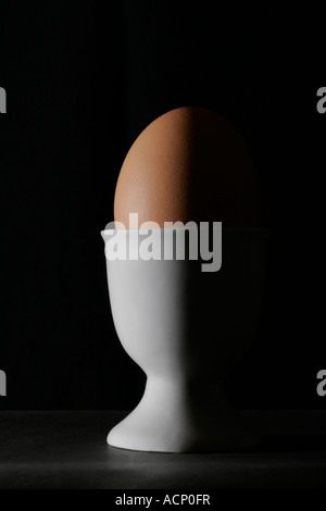 Profile of a boiled egg in a white eggcup showing highlights against a black background Stock Photo