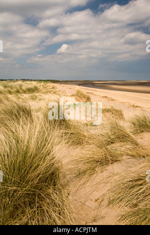 Gibraltar Point National Nature Reserve, Skegness, Lincolnshire, England. Stock Photo