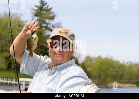 Fisherman holding a catch and release bluegill sunfish Lepomis macrochirus. Gull Lake Nisswa Minnesota USA Stock Photo