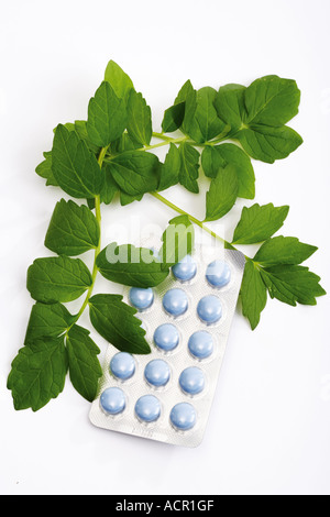 Valerian tablets, elevated view, close-up Stock Photo