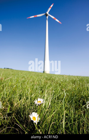 Wind turbine in meadow, low angle view Stock Photo