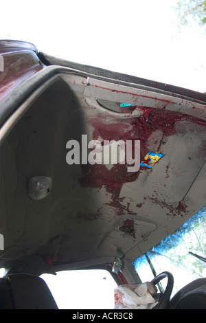 Vehicle involved in fatality traffic accident Blood splatter and smears on vehicle ceiling dashboard door panels and airbag Stock Photo