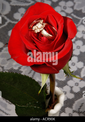 Wedding Rings in Red Rose Stock Photo