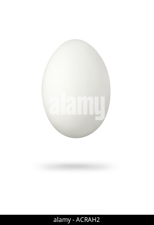 white egg weisses Ei Stock Photo