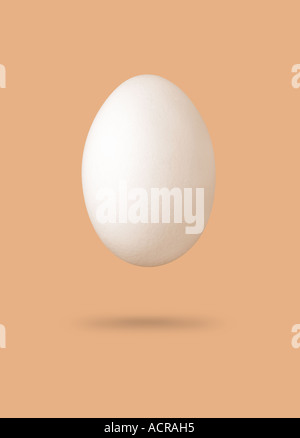 white egg weisses Ei Stock Photo