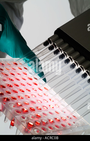 pipette pipetting blood test research medical vacination drug chemistry biology chemist scientist doctor nurse hospital laborat Stock Photo