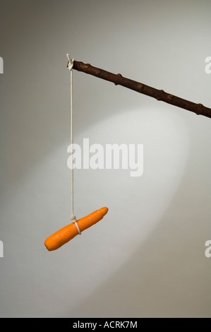 A carrot dangling from a stick Stock Photo