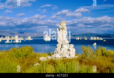 Mono Lake, California, USA. Tufa formations exposed due to lowering of original water level in Mono Lake, now a water reservoir Stock Photo