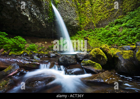 Ponytail Falls, Columbia River Gorge, Oregon, USA Stock Photo