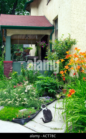 Home entrance summer garden and cat on Wolseley Ave in Winnipeg Manitoba Canada Stock Photo