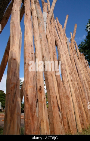 A log yard selling Lebombo Ironwood Androstachys johnsonii poles price 35 Metecals the equivalent of US 1 50 per pole Stock Photo