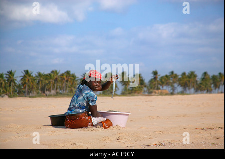 Woman sitting on a palm lined beach holding up a freshly caught half beak fish from a pink plastic bowl used to carry fish Stock Photo