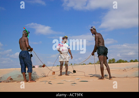 Fishermen inspecting their nets to remove freshly caught fish Barra Inhambane Province Mozambique Stock Photo
