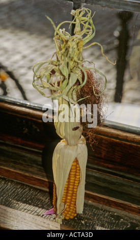Puppet With Corn Rows Corn Puppet 4 Stock Photo - Alamy