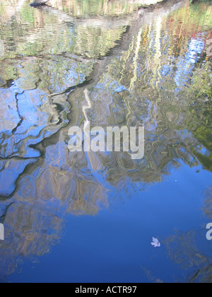 Kenwood Ladies Pond Hampstead Heath London UK Stock Photo