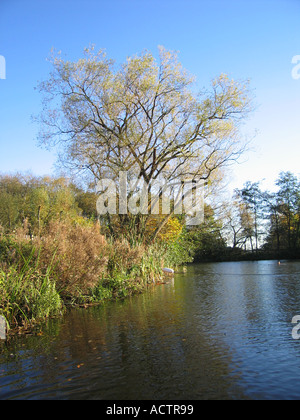 Kenwood Ladies Pond Hampstead Heath London UK Stock Photo