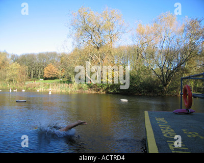 A swimmer dives into the cold fresh water of Kenwood Ladies Pond on Hampstead Heath London UK Stock Photo